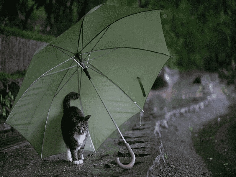 南京惜缘试管代生机构:怀二胎孕吐反应特大,和孕妇自身以及胎儿都有关